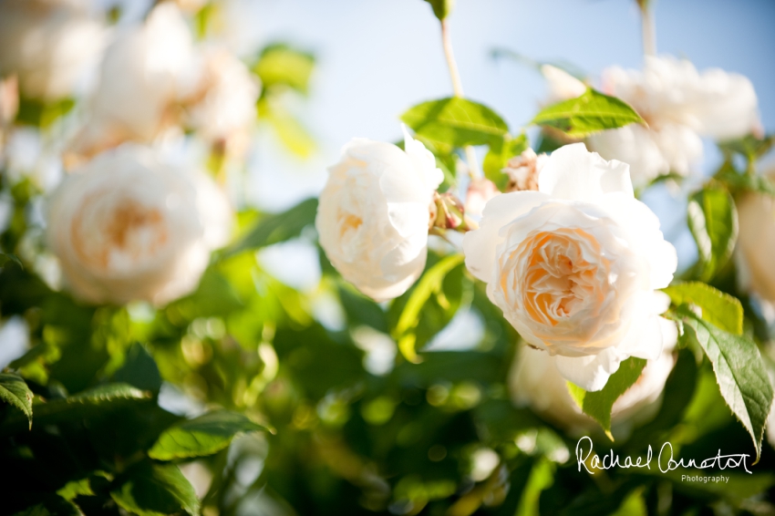 Professional photograph of wedding at Hothorpe Hall