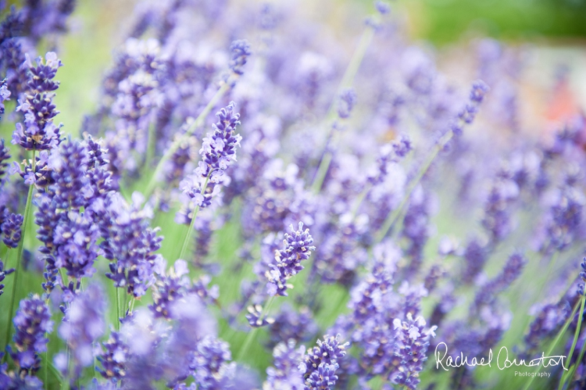 Professional colour photograph of Le Manoir Aux Quat’Saison by Rachael Connerton Photography