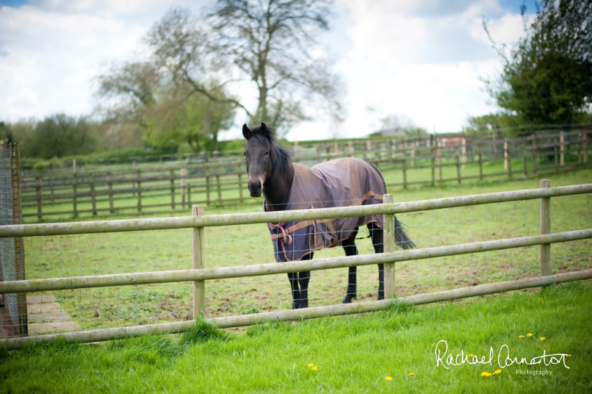 Professional colour photograph of Jodie and Lee's summer family lifestyle shoot by Rachael Connerton Photography