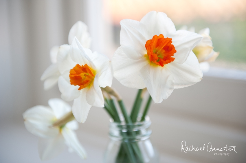 Professional colour photograph of house interiors photography at Ford House in Norfolk by Rachael Connerton Photography