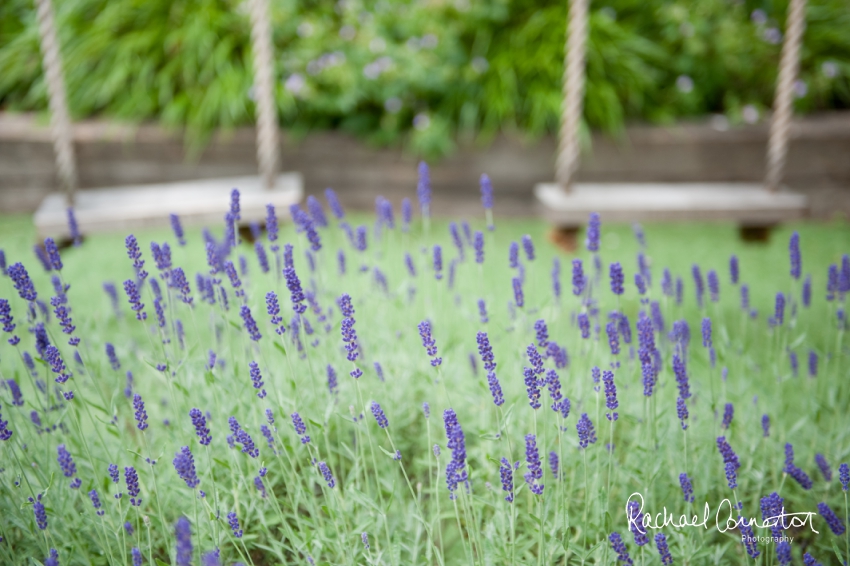 Professional colour photograph of Abbie and Brad's summer family lifestyle shoot by Rachael Connerton Photography