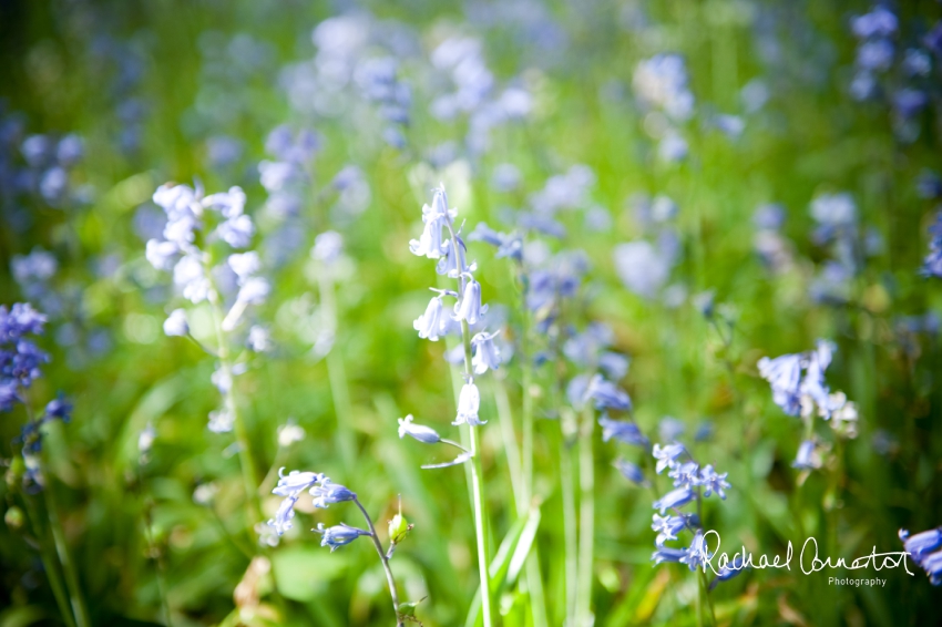 Professional colour photograph of Derbyshire engagement shoot styled shoot by Rachael Connerton Photography