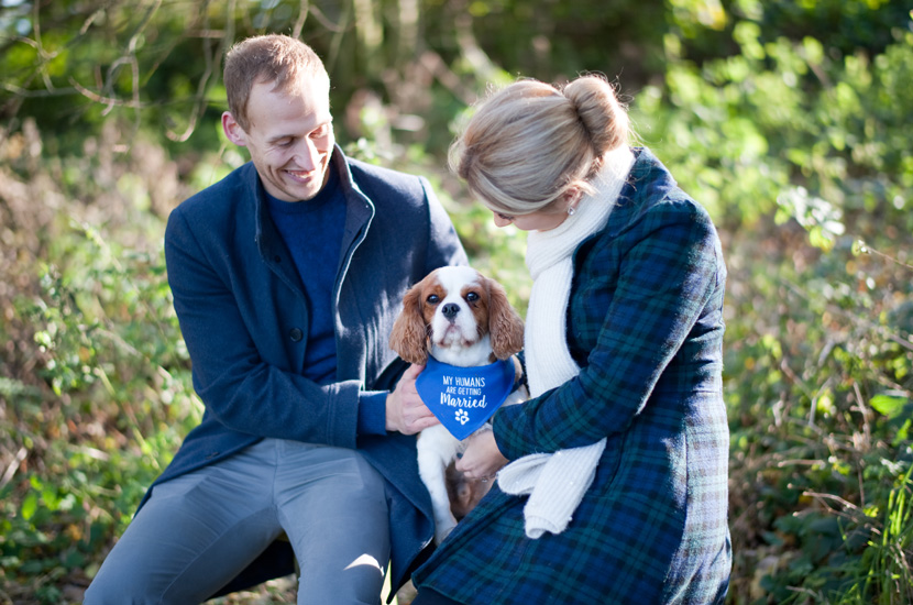 Professional colour photography of couple with their dog on pre-wedding shoot